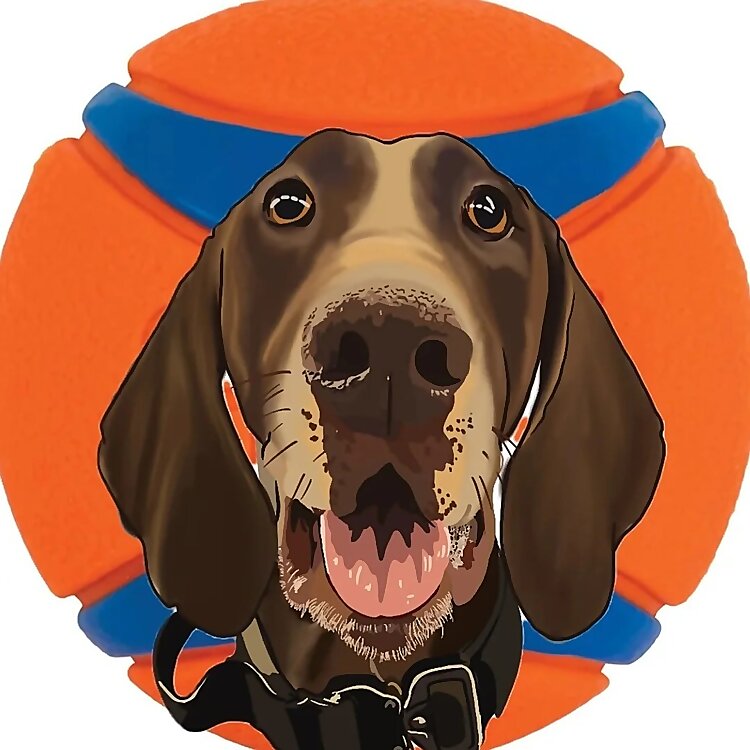 Influenceurs du gestionnaire K9