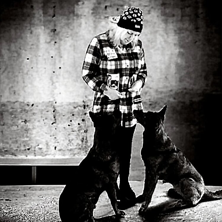 Influenceurs du gestionnaire K9