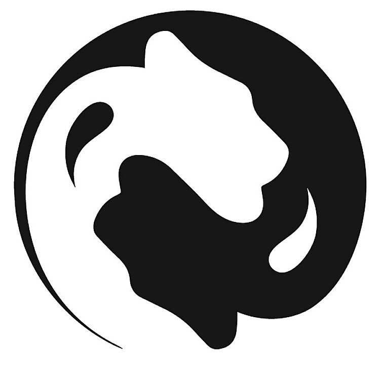Influenceurs Qi Gong