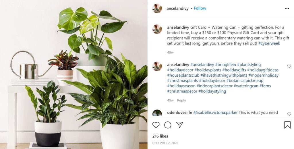 5 façons de promouvoir votre marque dans les petites entreprises samedi Ansel et Ivy Instagram