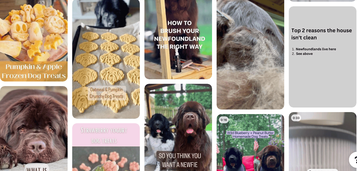 Jennifer Costello | Cuisine et chiens | Influenceurs Pinterest