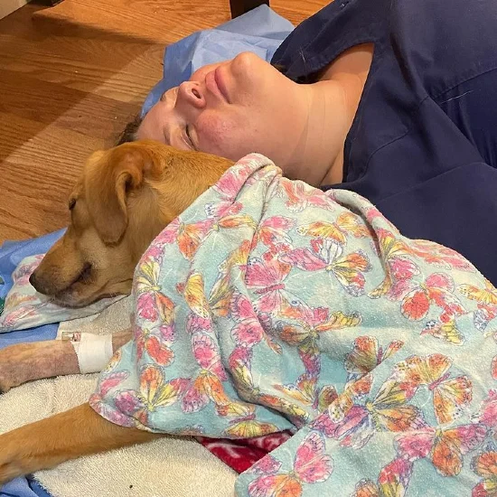 Aleksandra ascion se couchait à côté de son patient après une chirurgie compliquée