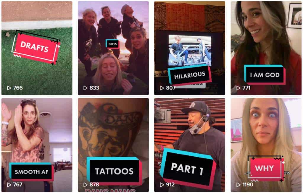 Denise Borders Tiktok Channel | Visions du monde punk