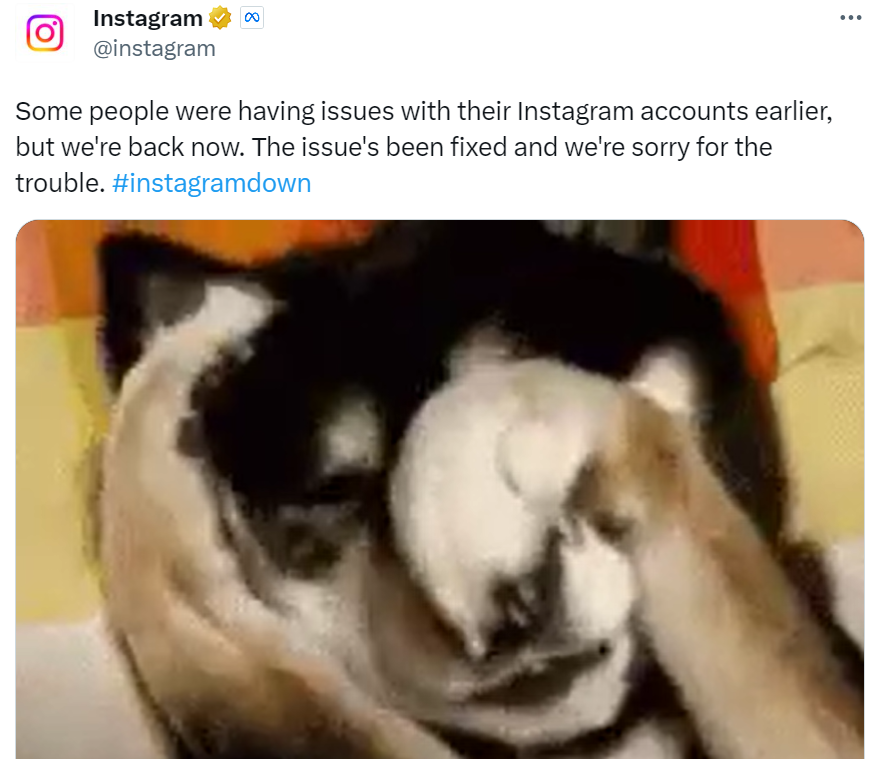 Capture d'écran d'une publication Instagram en abordant l'interruption de la plate-forme. 