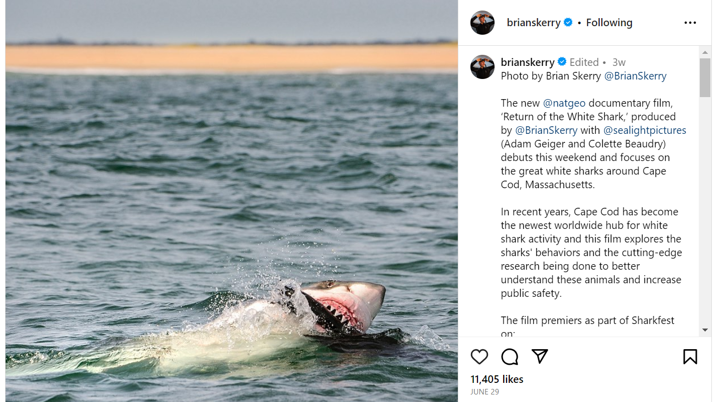 Brian Skerry