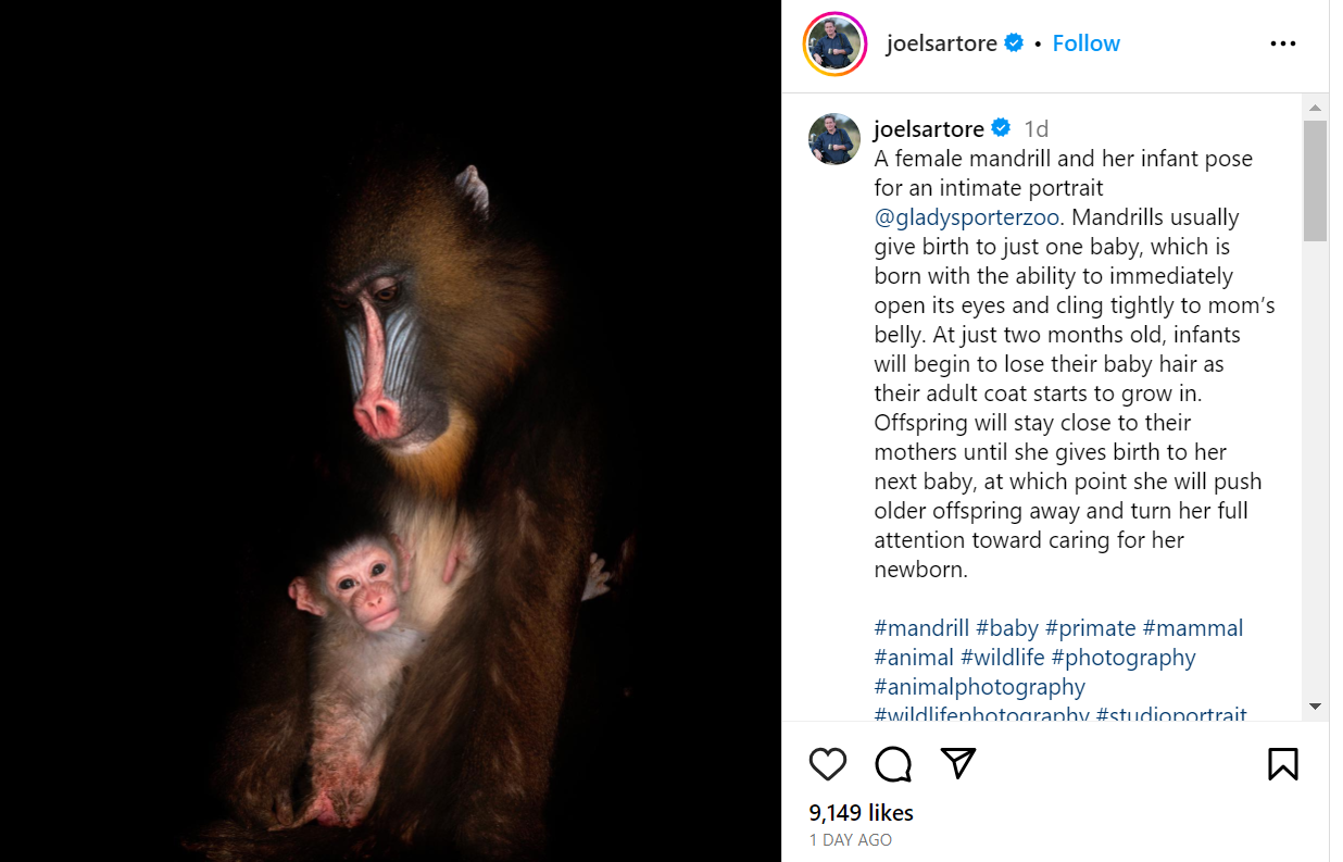 Joel Sartore Top naturaliste influenceur