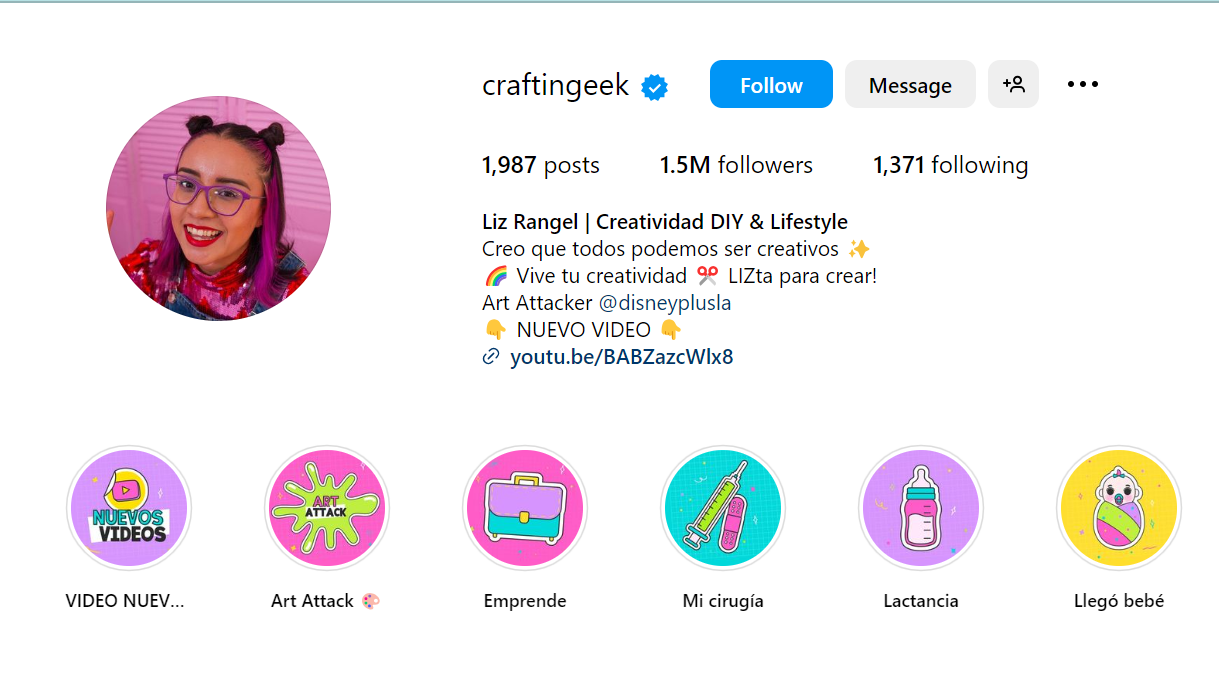 Capture d'écran de la page de profil @craftsek sur Instagram