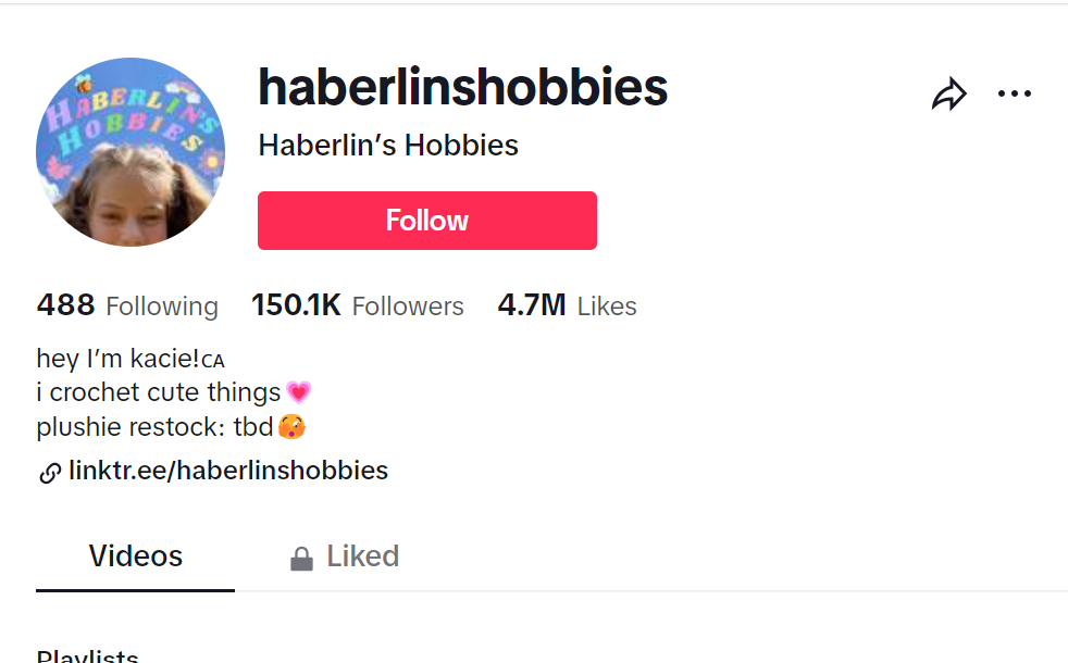 Capture d'écran de la page de profil @haberlinshobbies tiktok