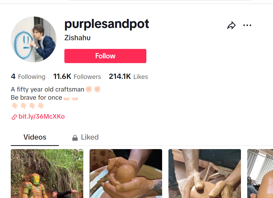 Capture d'écran de la page de profil @purplesandpot tiktok
