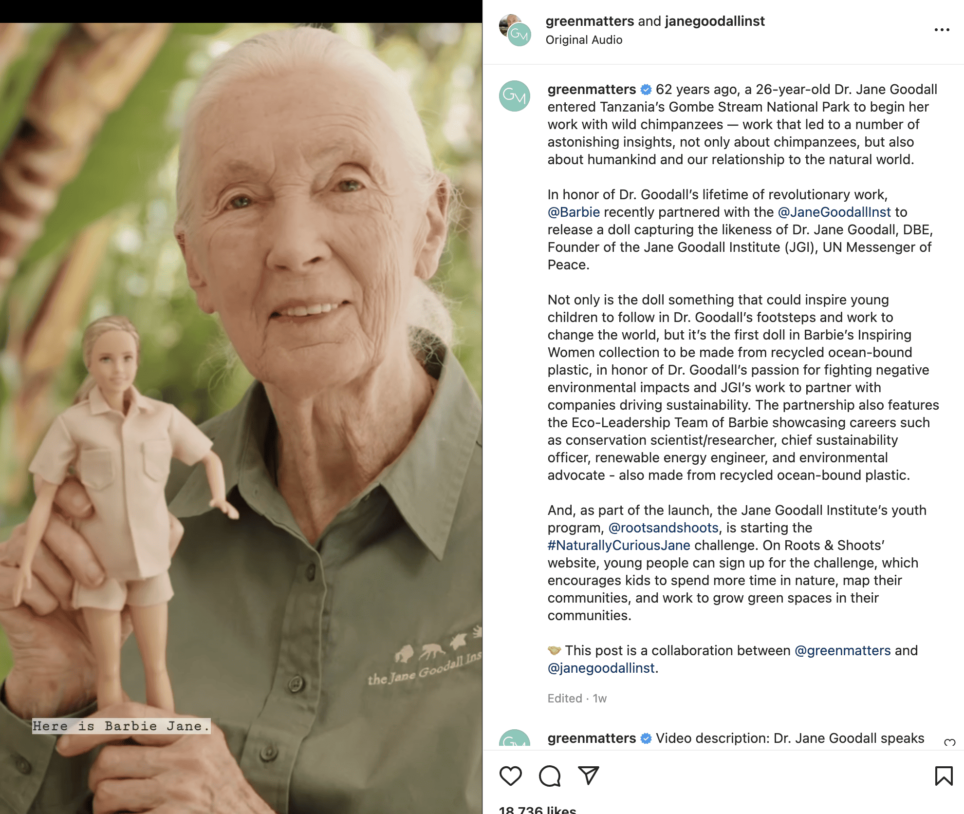 Influenceur de Jane Goodall dans le monde scientifique