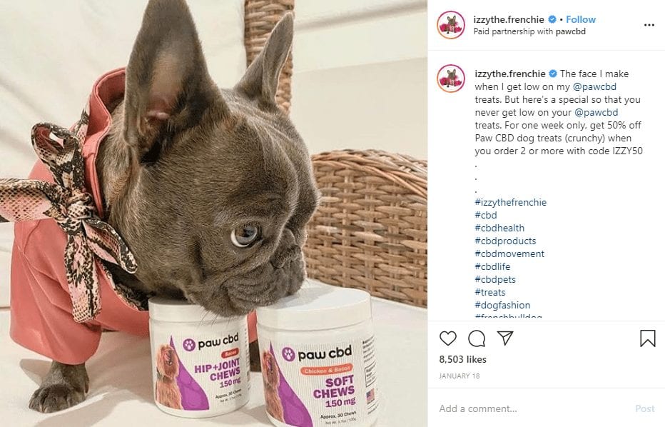 Marques adorées: animaux de compagnie influenceurs