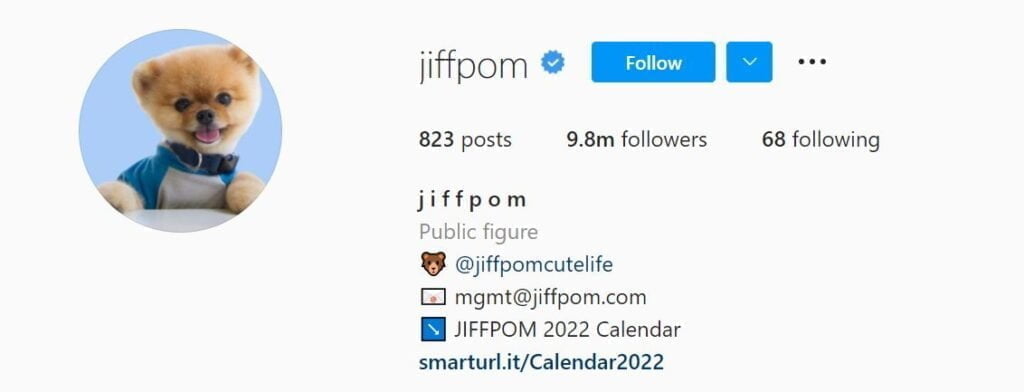 Marques adorées: animaux de compagnie influenceurs