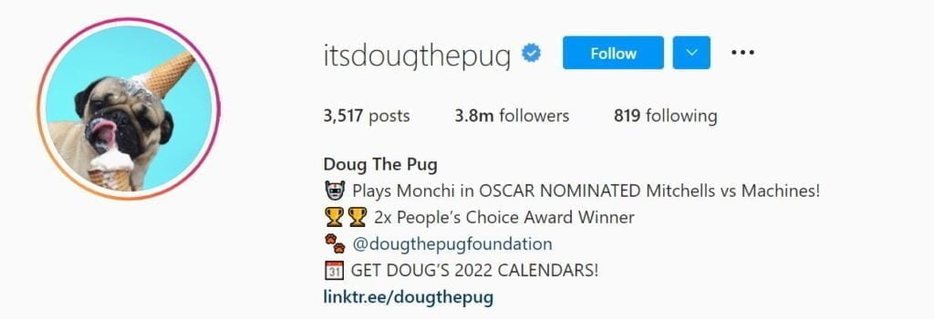 Marques adorées: animaux de compagnie influenceurs