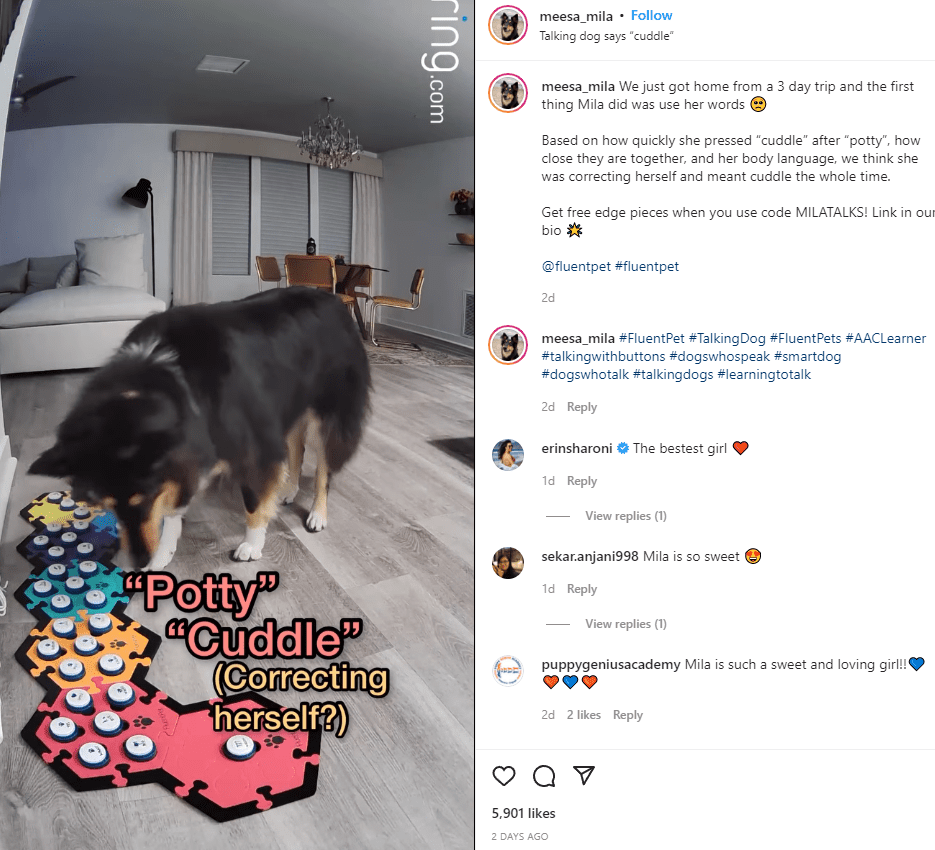 Mila l'influenceur des animaux de compagnie des chiens parlants