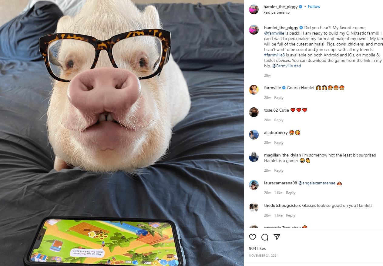 Hamlet L'influenceur de porc