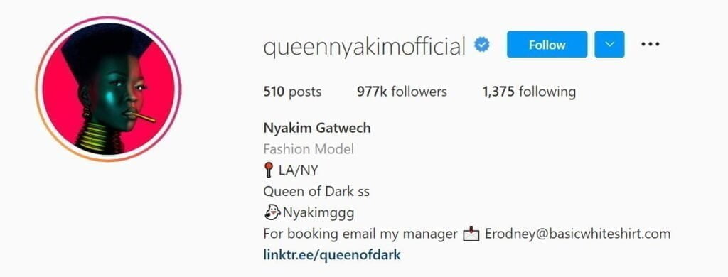 Les 50 modèles Instagram principaux ci-dessous