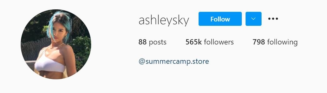 Les 50 modèles Instagram principaux ci-dessous Ashleysky