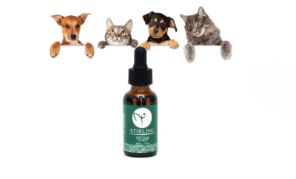 Stirling | Huiles de CBD pour les chats et les chiens