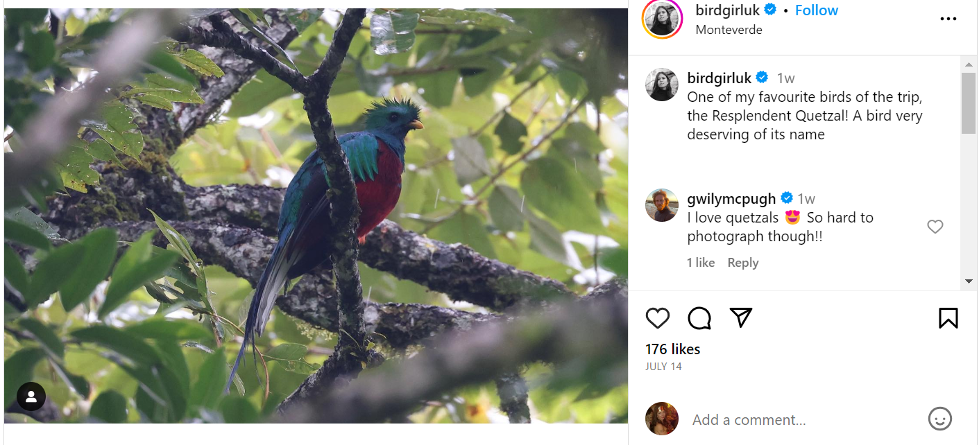 Bird Girl Top Naturaliste Influenceur