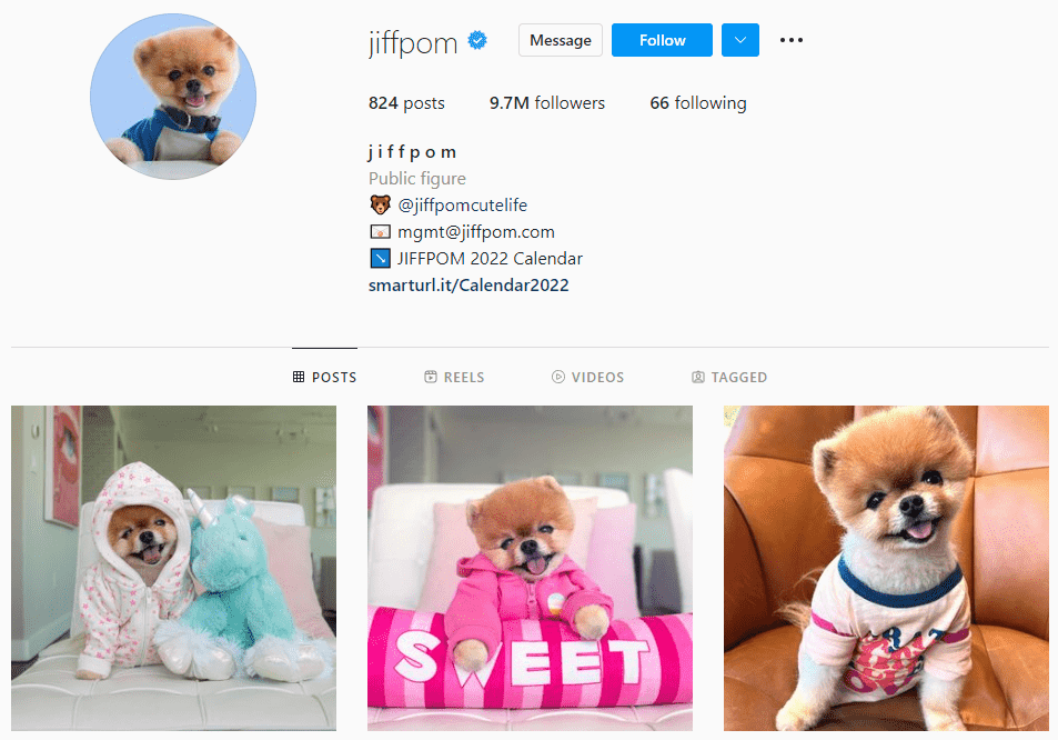Global Star Jiffpom