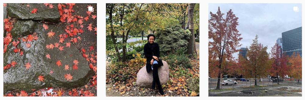 Jorden Jones IG Posts | Feuilles d'automne | Bons influenceurs -estar