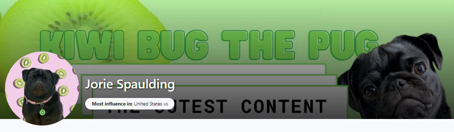 Plateforme de marketing d'influence gratuite: bogue kiwi